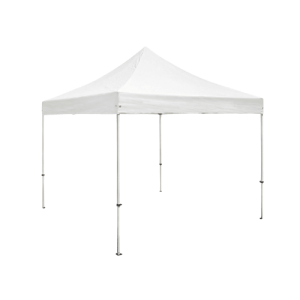 STEEL FRAME CANOPY 10 X 10