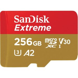 SanDisk 256GB MicroSD Memory Card